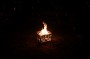 Thumbs/tn_Beetle at the Beach 2023 017.jpg